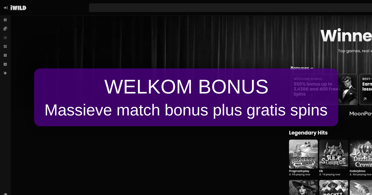 iWild Casino Nederland - Direct speelklaar met iDEAL